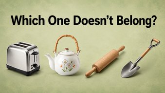 Only 1 In 10 People Can Find All The Odd Items